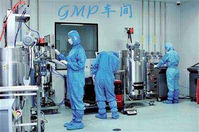 gmp車(chē)間